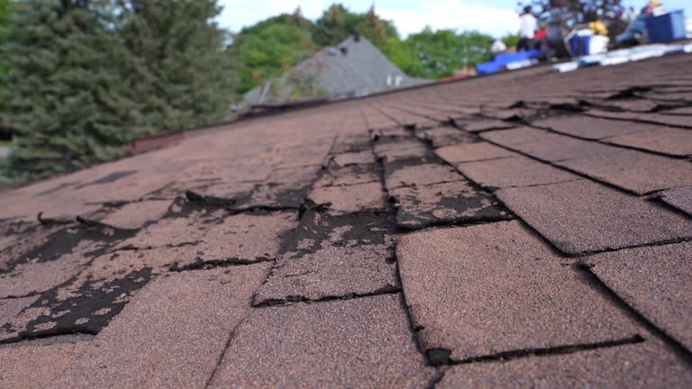 Asphalt Shingles Roofing in Anniston, AL